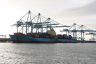 Containerschip de “SEAGO” van Seagoline  uit Bremerhaven tijdens het lossen van het schip.
