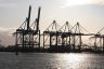 Donker weer boven het havengebied bij de Rotterdamse  Maasvlakte. Kranen tekenen zich scherp af tegen de nog na lichtende lucht.
