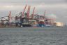De containerschepen van de maatschappij CNA CGM en COSCO SHIPPING gebroederlijk achter elkaar aan de laad- en los wal in de havens van de Maasvlakte.