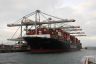 De YM WHOLESOME van Yang Ming in de haven van Rotterdam. Lang 368meter, breed51 meter.  14.080 containers van 20 feet. Laadvermogen 145.502 ton. Diepgang 13 meter. Vlag: Hong Kong
