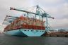 De MOGENS MAERSK, met als thuishaven Hellerup in vol ornaat, 23 containers breed.Het schip is 399,00 meter lang en 59 meter breed. Er gaan 18.340 containers  aan boord.
