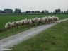 Poseren voor de foto bij het Sneekermeer.