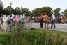 Hier wordt druk onderhandelt over de prijs van de tijdelijk achter de hekken opgesloten  'veestapel'.