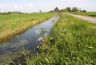 Zomer aan de Hege Wier in Goëga met op de achtergrond de boerderij van Buter.