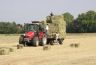 Op het land van Rients de Jong wordt hard gewerkt op de oogst op wagens te laden en van het land af te voeren