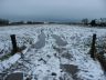 Sneeuw op het land van de Abma's, met op de achtergrond de verlichte boerderij van Brandsma. 
