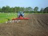 Na het ploegen van het land in het najaar wordt het land gevlakt en is het weer gereed voor het volgend seizoen.