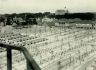 De toen nieuwe veemarkt bij de aanleg in 1930. Tot dan was de veemarkt op het huidige Martiniplein gehouden. De veemarkt werd aangelegd op de plaats waar voorheen gekaatst en in de winter geschaatst werd.