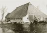 1961. Hoog water in de wijk Tinga. De boerderij van boer Van der Laan staat het water letterlijk tot aan de 'lippen'. Enkele jaren later moest de boerderij worden gesloopt voor de uitbreiding van de wijk Lemmerweg West. De brandweer stak hem in brand als oefenobject.