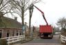 De vrachtauto met kraan die de toppen van de bomen er af 'knipte' en ze op de vrachtauto deponeerde.