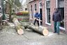 Jan de Groot zaagt de stam in stukken en Eite Stienstra ruimt de boel weer op.