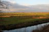 Zonovergoten land nabij de Sneekermeer.