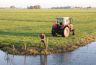 Opdat zijn koeien niet gaan zwemmen in de Oudvaart, zet boer Auke Lootsma voor de zekerheid maar een hekwerk op de hoek.