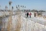 Schaatsers op de opvaart naar Goënga.