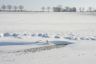 Boerderij in winterlandschap.